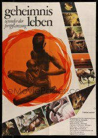 4b550 GEHEIMNIS LEBEN German '66 August Kern, cool images of natives & wildlife!