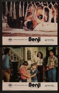 4f663 BENJI 4 LCs '74 directed by Joe Camp, classic dog movie, wonderful images!
