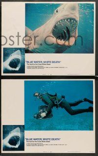 4f070 BLUE WATER, WHITE DEATH 8 LCs '71 cool images of great white sharks & scuba divers!