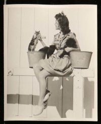 4h754 ANN RUTHERFORD 7 deluxe 8x10 stills '40s many portraits of the actress, one w/ cats!
