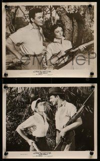 4h874 BEYOND MOMBASA 4 8x10 stills '57 Cornel Wilde & Donna Reed in the African jungle!