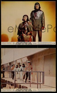 4h054 ESCAPE FROM THE PLANET OF THE APES 3 color 8x10 stills '71 Baby Milo has Washington terrified