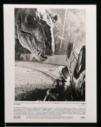 4h420 JURASSIC PARK 13 8x10 stills '93 Steven Spielberg, Sam Neill, Attenborough, Dern, T-Rex!