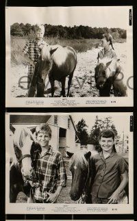 4h226 MISTY 18 8x10 stills '61 David Ladd, Arthur O'Connell, Pam Smith