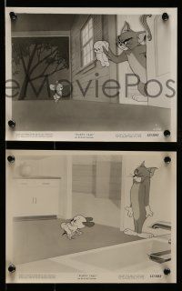 4h861 PUPPY TALE 5 8x10 stills '54 Tom & Jerry, great cartoon images of the cat and mouse duo!
