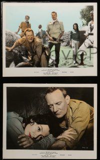 4h049 ROOTS OF HEAVEN 4 color 8x10 stills '58 John Huston, Errol Flynn & Julie Greco in Africa!