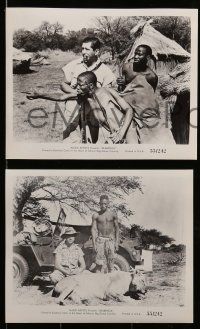 4h483 SKABENGA 12 8x10 stills '55 African jungle hunting documentary, violent animal images!