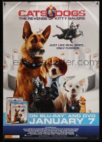 4j908 CATS & DOGS: THE REVENGE OF KITTY GALORE 28x40 Australian video poster '10 James Marsden