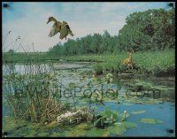 4j536 NATURE POSTER style 5 22x28 special '70s great image of duck flying over nest and fawn!