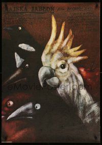 4t974 RAJSKA JABLON Polish 27x38 '86 great Andrzej Pagowski artwork of birds!