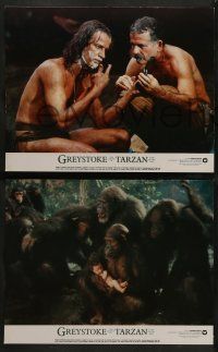 5k201 GREYSTOKE 8 color 11x14 stills '84 images of Christopher Lambert as Tarzan, Andie MacDowell!
