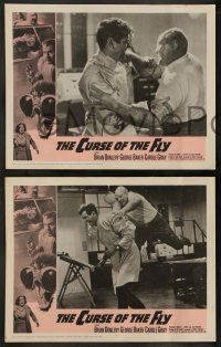 5k121 CURSE OF THE FLY 8 LCs '65 Brian Donlevy, English sci-fi monster sequel!