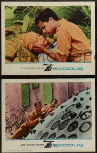 5k152 EXODUS 8 LCs '61 Otto Preminger, Paul Newman, Eva Marie Saint, Sal Mineo, Jill Haworth!