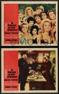 5k249 HOUSE IS NOT A HOME 8 LCs '64 Shelley Winters, Robert Taylor & sexy hookers in brothel!
