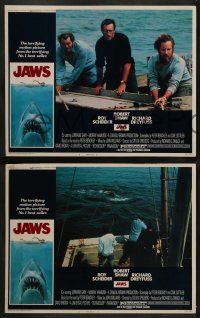5k280 JAWS 8 LCs '75 Roy Scheider, Robert Shaw, Richard Dreyfuss, Steven Spielberg's shark classic!