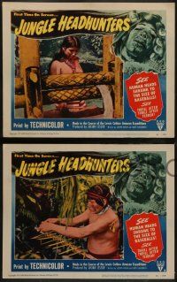 5k291 JUNGLE HEADHUNTERS 8 LCs '51 wild shrunken head border art, Amazon voodoo documentary!