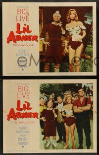 5k326 LI'L ABNER 8 LCs '59 cool images of sexiest Julie Newmar, Peter Palmer, Al Capp's comic