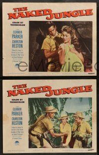 5k410 NAKED JUNGLE 8 LCs '54 Charlton Heston & Eleanor Parker, produced by George Pal!