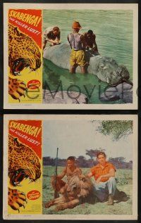 5k701 SKABENGA 6 LCs '55 African jungle hunting documentary, violent animal images!