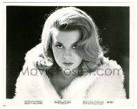 5m136 ANN-MARGRET 8x10.25 still '64 incredible sexy portrait wearing fur from Kitten with a Whip!