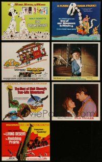 5s240 LOT OF 7 DISNEY LOBBY CARDS '70s great images from 101 Dalmatians & live action movies!