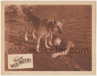 5w988 WILD WATERS LC '35 great image of Flash the German Shepherd Wonder Dog saving his master!