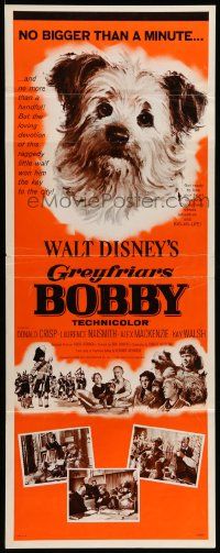 5z185 GREYFRIARS BOBBY insert '61 Walt Disney, huge close up art of cute Skye Terrier!