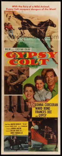 5z197 GYPSY COLT insert '54 Ward Bond, Frances Dee, young Donna Corcoran & wild stallion!