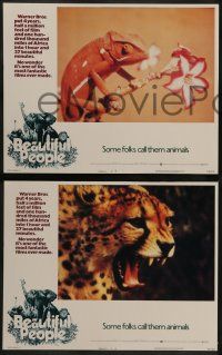 6c042 ANIMALS ARE BEAUTIFUL PEOPLE 8 LCs '75 Jamie Uys, Africa, cool images of lions, leopard, more