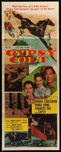 6g200 GYPSY COLT insert '54 Ward Bond, Frances Dee, young Donna Corcoran & wild stallion!