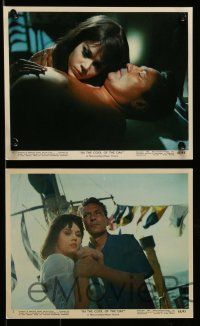 6m539 IN THE COOL OF THE DAY 8 color 8x10 stills '63 Jane Fonda, Peter Finch, Angela Lansbury!