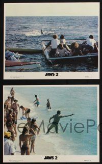 6m578 JAWS 2 4 color 8x10 stills '78 Roy Scheider with gun, Lorraine Gary, cool shark images!
