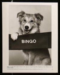 6m399 BINGO presskit w/ 6 stills '91 Cindy Williams, cute dog adventure comedy!
