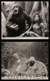 6m008 GREYSTOKE presskit w/ 30 stills '83 Christopher Lambert as Tarzan, Lord of the Apes!