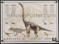 6r694 JURASSIC PARK 18x24 video poster '93 Steven Spielberg, Attenborough re-creates dinosaurs!