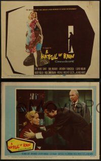 6z259 HATFUL OF RAIN 8 LCs '57 Fred Zinnemann early drug classic, Eva Marie Saint & Don Murray!
