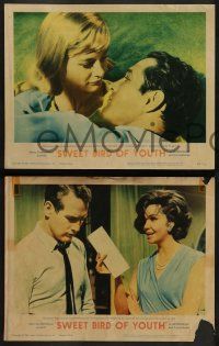 6z455 SWEET BIRD OF YOUTH 8 LCs '62 Paul Newman & Geraldine Page, from Tennessee Williams' play!
