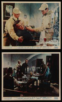 7a573 DR. NO 2 color English FOH LCs '62 great scenes with Sean Connery as James Bond 007!