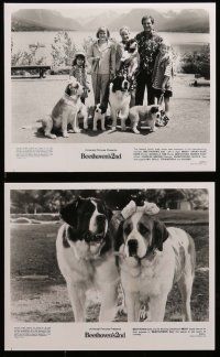 7a273 BEETHOVEN'S 2ND presskit w/ 9 stills '93 Charles Grodin, Newton family is going to the dogs!