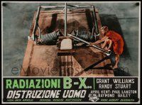 7b161 INCREDIBLE SHRINKING MAN Italian 20x26 pbusta '57 sci-fi classic, Williams in cool fx scene!
