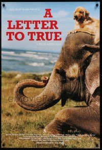 7g412 LETTER TO TRUE 24x36 special '04 Bruce Weber, cool image of dog sitting on elephant!
