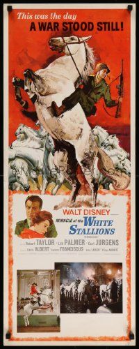 7k671 MIRACLE OF THE WHITE STALLIONS insert '63 Disney, Lipizzaner stallions art, Robert Taylor!