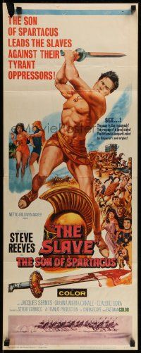 7k807 SLAVE insert '63 Il Figlio di Spartacus, art of Steve Reeves as the son of Spartacus!
