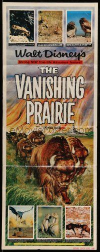 7k889 VANISHING PRAIRIE insert '54 a Walt Disney True-Life Adventure, cool art of stampeding buffalo
