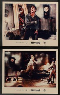7r071 EVIL DEAD 2 2 Japanese LCs '87 Sam Raimi, Bruce Campbell is Ash, Dead By Dawn!