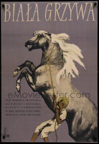 7t827 WHITE MANE Polish 24x34 '56 cool Ludwig Maciag art of boy struggling w/horse!