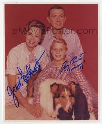 7x1117 LASSIE signed color 8x10 REPRO still '96 by BOTH June Lockhart, AND Jon Provost!
