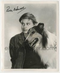7x1364 RODDY MCDOWALL signed 8.25x10 REPRO still '93 great close up as a kid with Lassie the dog!
