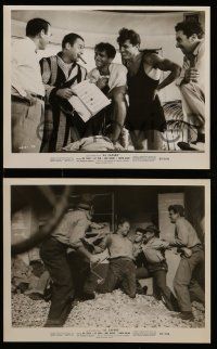 8d665 AL CAPONE 6 8x10 stills '59 Fay Spain, Rod Steiger as the most notorious gangster!