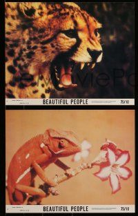 8d041 ANIMALS ARE BEAUTIFUL PEOPLE 8 8x10 mini LCs '75 Jamie Uys, Africa, images of lions, more